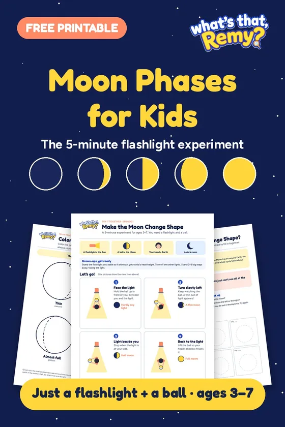 Moon phases printable pages